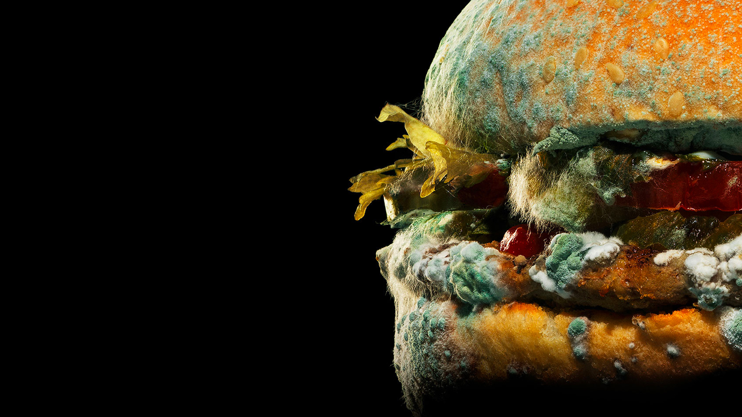 Burger King mouldy whopper marketing campaign